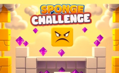 Sponge Challenge